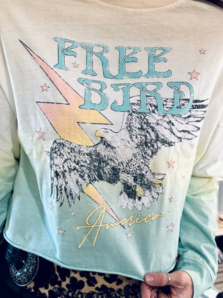 Free-bird Ombré Crop Tee